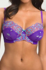 panache-sheer-embroidered-mesh-balconetter-bra-besteoffer