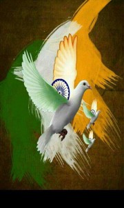 998138_10203135696181737_959708386_n